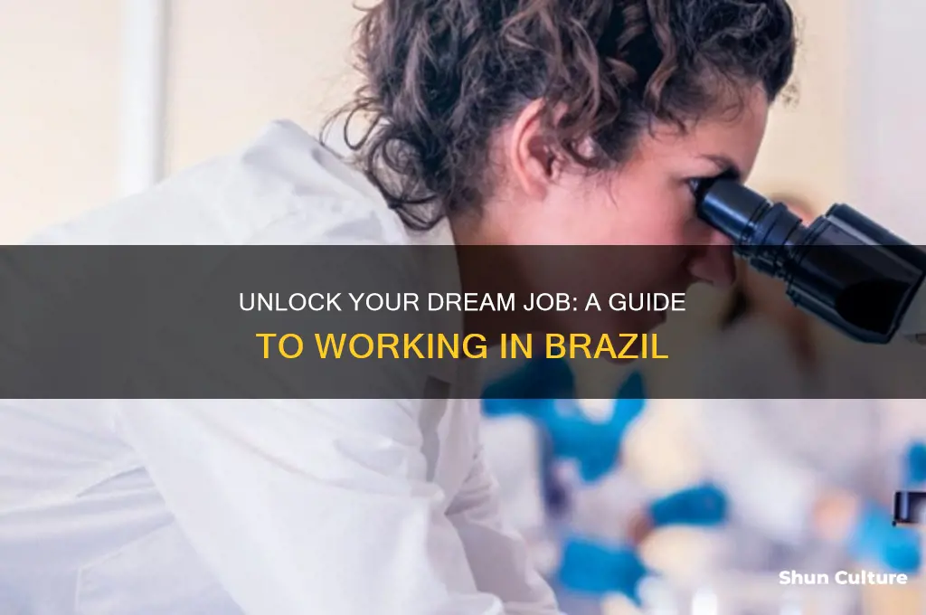how to work abroad in brazil