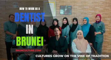 Dentist's Guide to Practicing in Brunei: Requirements and More