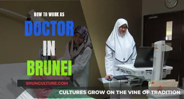 A Doctor's Guide to Working in Brunei