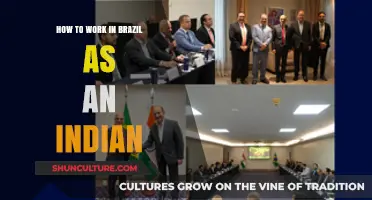 Indian Professionals in Brazil: A Guide to Working and Thriving