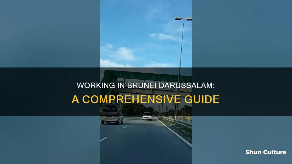 how to work in brunei darussalam