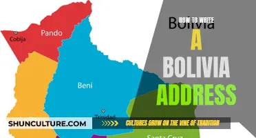 Writing a Bolivia Address: A Step-by-Step Guide