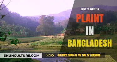 Mastering the Art of Writing a Legal Complaint in Bangladesh