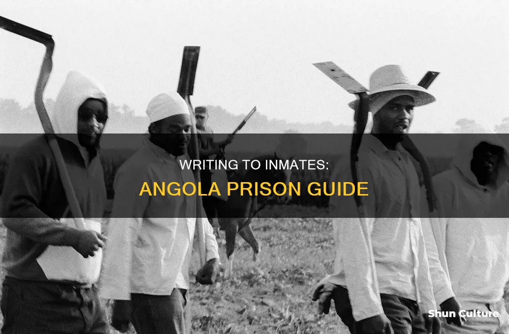 how to write a prisoner in angola