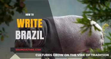 Mastering the Art of Writing Brazil: Tips, Culture, and Language