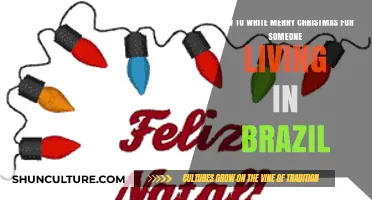 Feliz Natal: Writing Merry Christmas for Your Brazilian Friends and Family