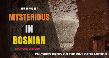 Unveiling the Bosnian Word for Mysterious: A Linguistic Exploration