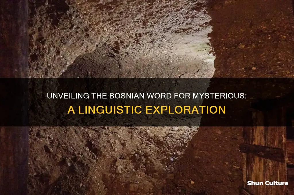 how to you say mysterious in bosnian