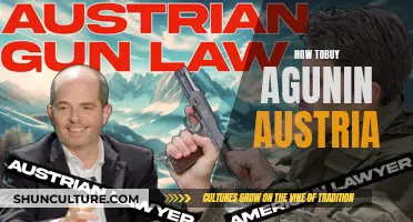 Purchasing a Gun in Austria: What You Need to Know