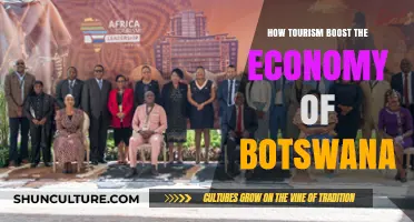Tourism's Impact: How Botswana's Economy Thrives Through Travel and Hospitality