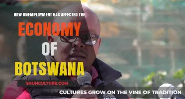 Unemployment's Impact: Botswana's Economy Faces Challenges and Opportunities