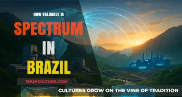 Brazil's Spectrum Value: Unlocking Economic Growth and Connectivity Potential