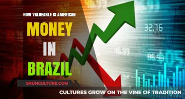 Exploring the Value of US Dollars in Brazil's Economy