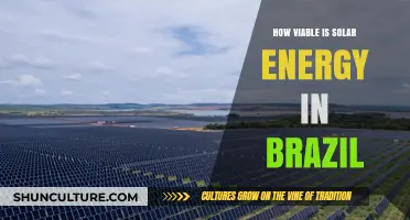 Brazil's Solar Potential: Assessing Viability and Future Energy Prospects