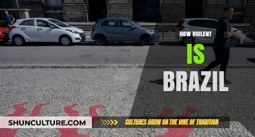 Brazil's Violence: Uncovering the Reality Behind the Headlines