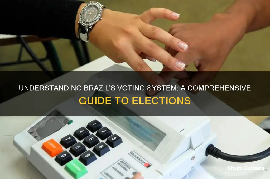 how voting works brazil