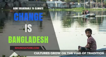 Bangladesh's Climate Crisis: Rising Risks and Resilience Strategies