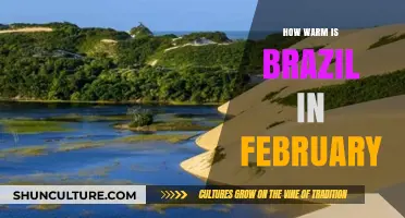 Brazil's February Climate: Warmth, Weather, and Travel Tips