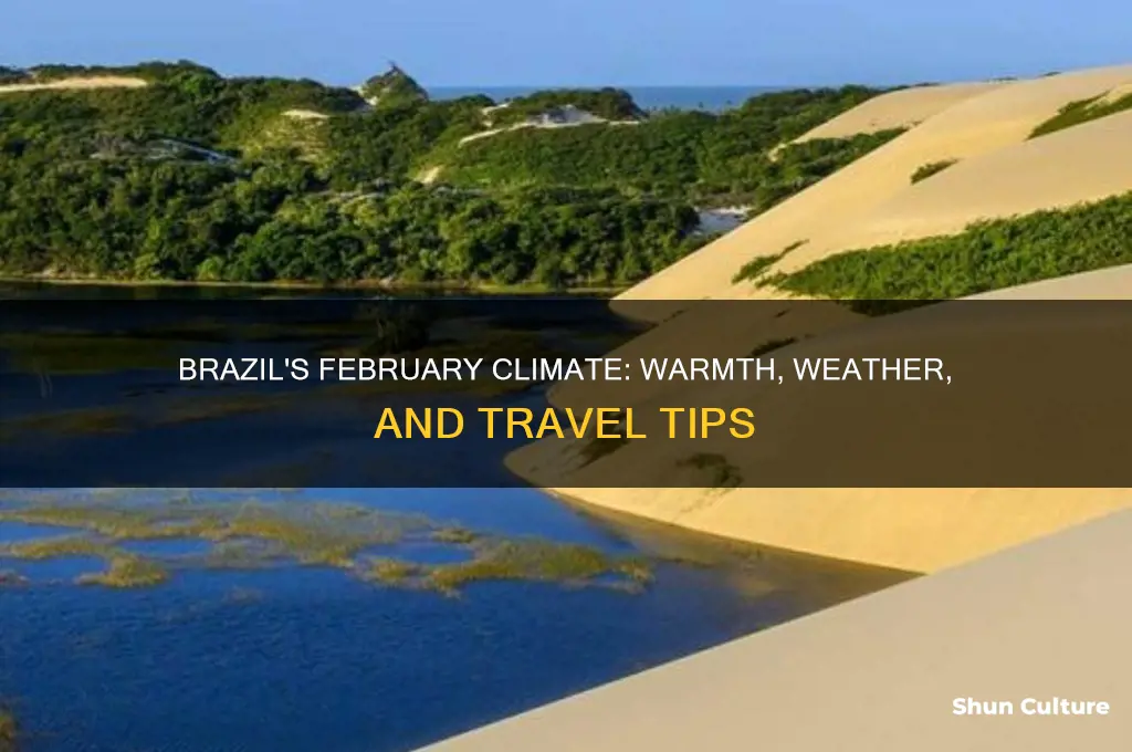 how warm is brazil in February