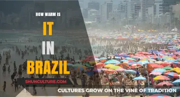 Brazil's Climate Unveiled: Exploring the Warmth Across Its Regions