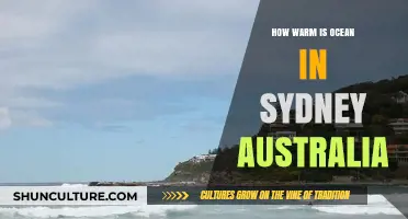 Sydney's Ocean Temperature: A Guide to Warmth and Comfort