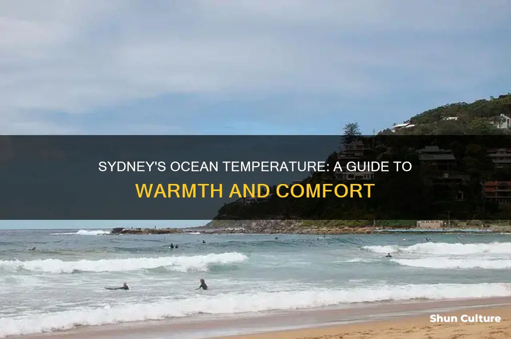 how warm is ocean in sydney australia