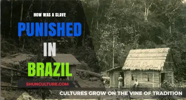 Punishment of Enslaved People in Brazil: Harsh Realities and Cruel Methods