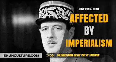 Algeria's Struggle: Imperialism's Impact on Culture, Economy, and Identity