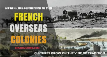 Algeria's Unique Status: How It Differed from Other French Colonies