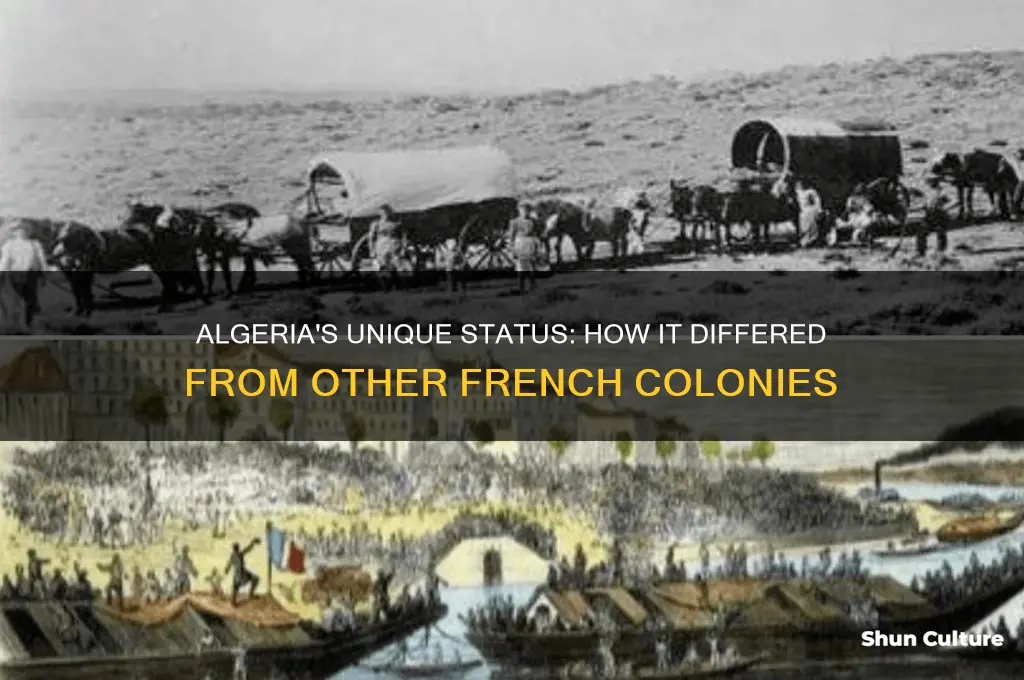 how was algeria different from all other french overseas colonies