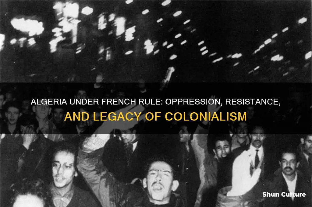 how was algeria treated under france