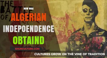 Algeria's Struggle for Freedom: The Path to Independence