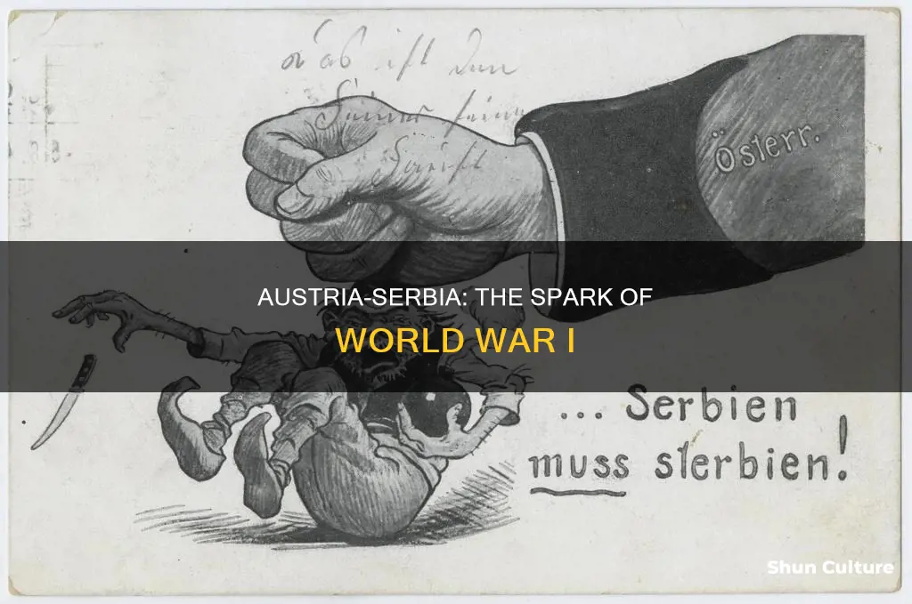 how was austria and serbia ww1