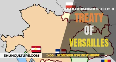 Austria-Hungary: Versailles Treaty Fallout