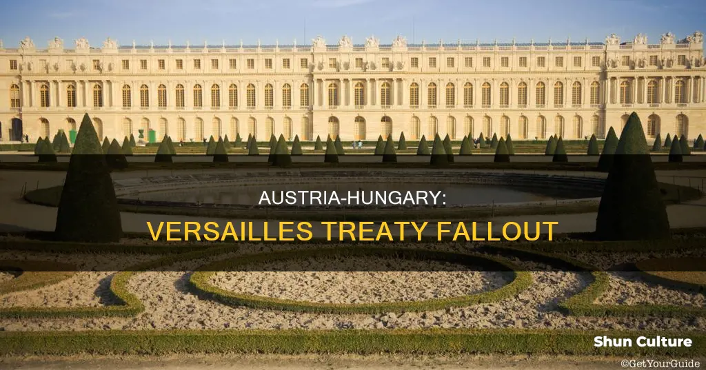 how was austria-hungary affected by the treaty of versailles