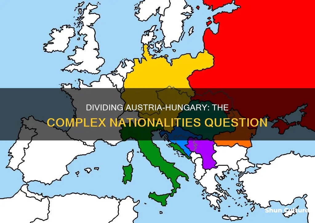 how was austria hungary divided