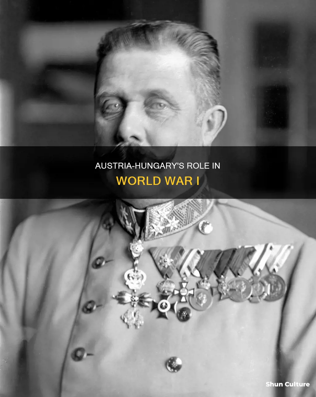 how was austria hungary involved in ww1