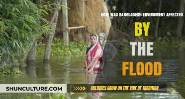 Bangladesh Floods: Environmental Impact and Long-Term Consequences