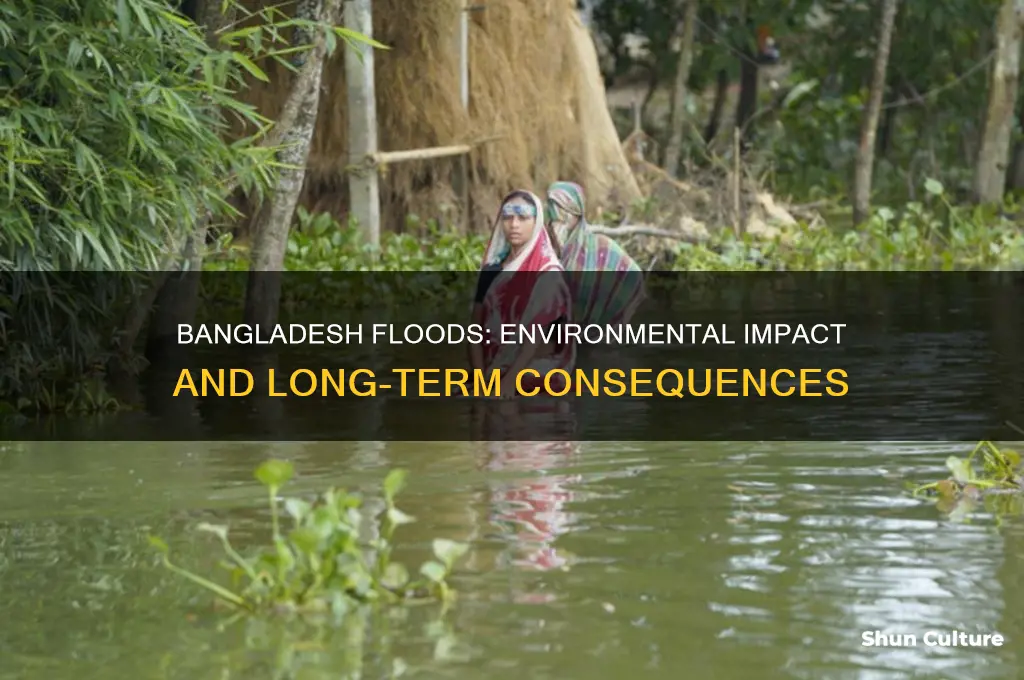 how was bangladesh enviroment affected by the flood