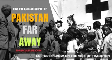 Bangladesh's Distant Union: Unraveling Its Historical Ties with Pakistan