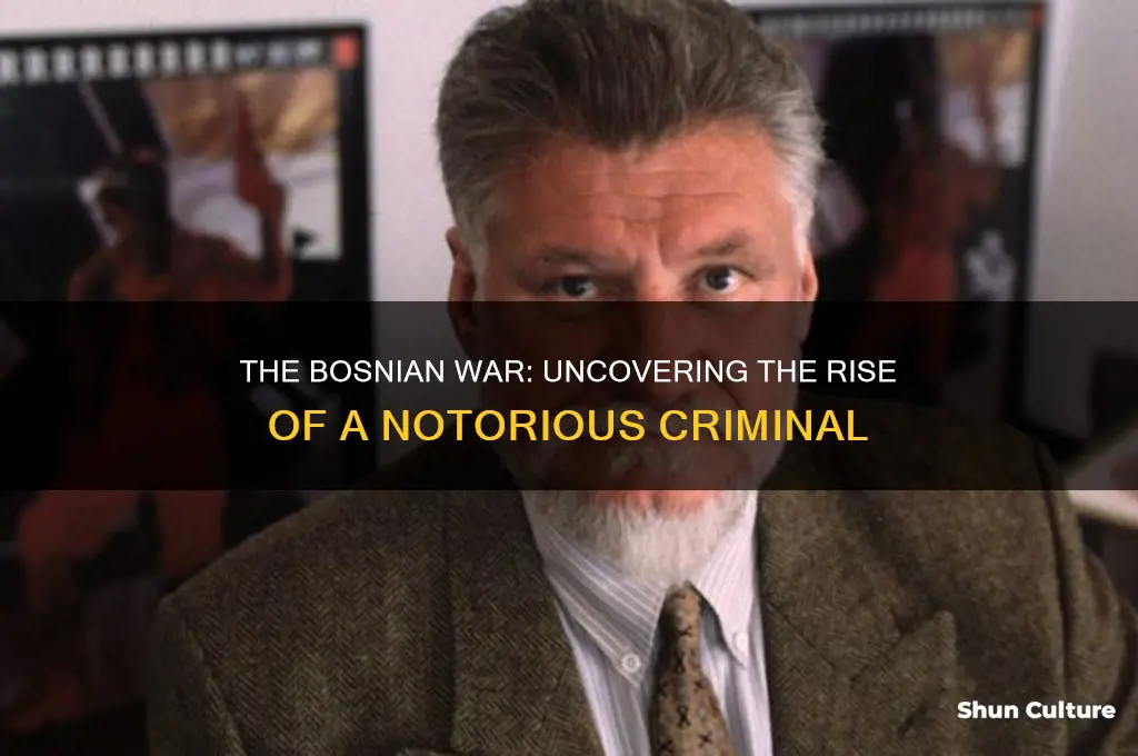 how was bosnian a war criminal