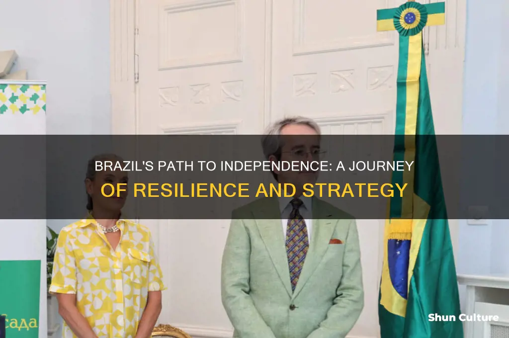 how was brazil able to achieve independence