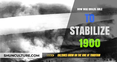 Brazil's Path to Stability: Economic Reforms and Political Strategies in 1900s