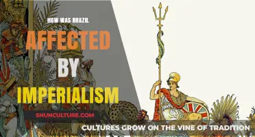 Brazil's Imperialism Legacy: Economic, Cultural, and Political Impacts Explored