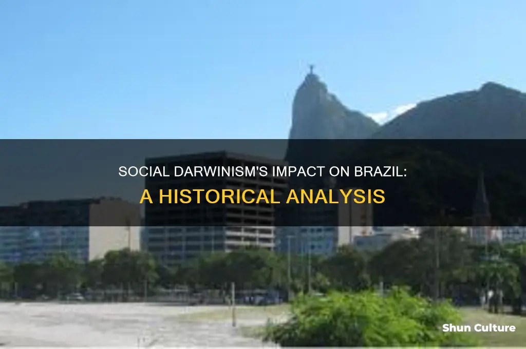 how was brazil affected by social darwinism