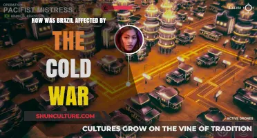Brazil's Cold War Impact: Geopolitics, Economy, and Social Changes