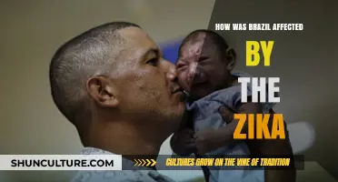 Zika's Impact on Brazil: Health, Society, and Economic Challenges