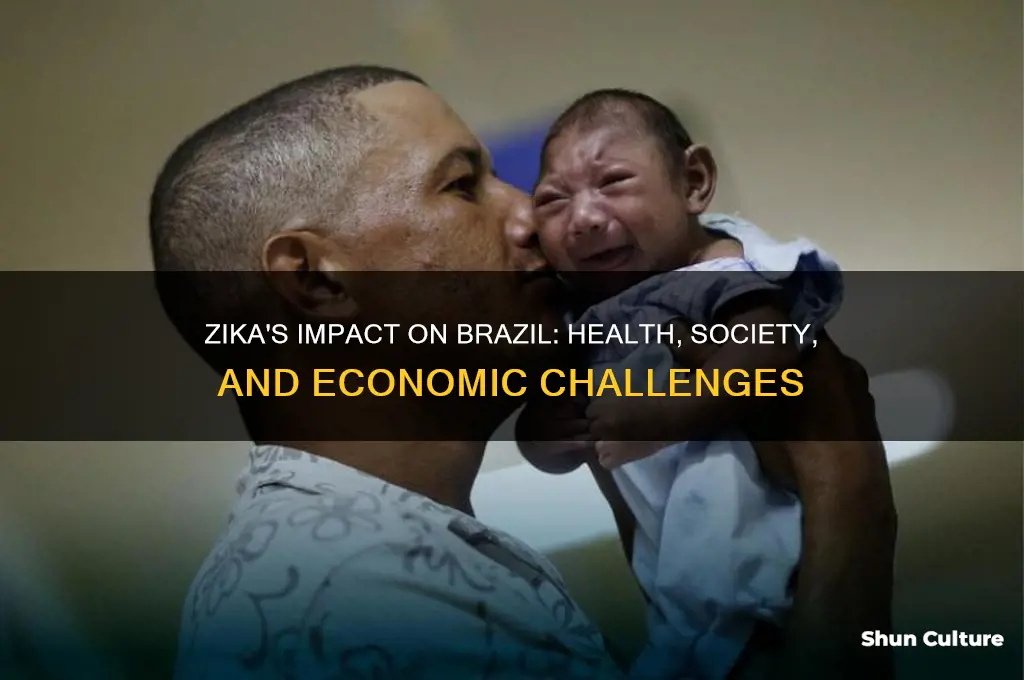 how was brazil affected by the zika