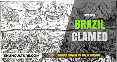 How Brazil Was Claimed: A Historical Journey of Conquest and Colonization