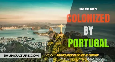 Portugal's Conquest: The Colonization of Brazil and Its Legacy